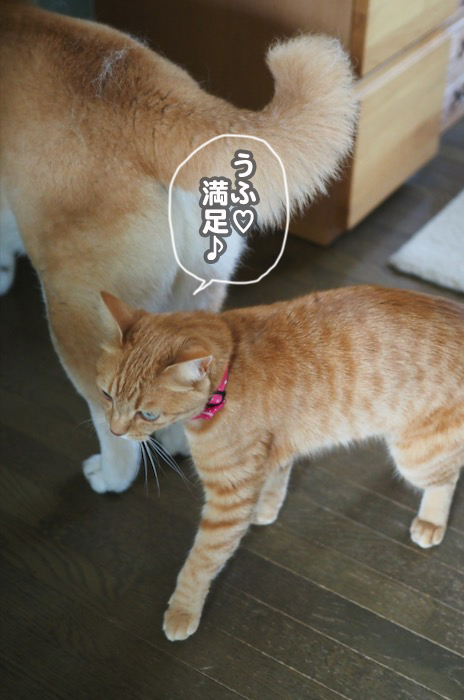 12日ブログ６