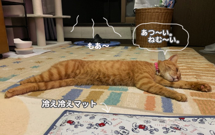 31日夕ブログ２