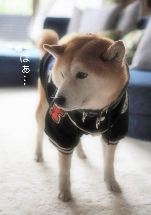 31日午後ブログ15
