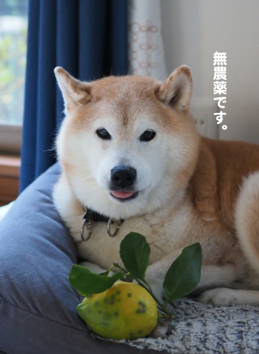 7日夕ブログ９