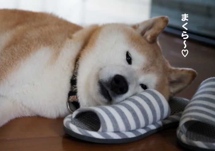 7日ブログ２