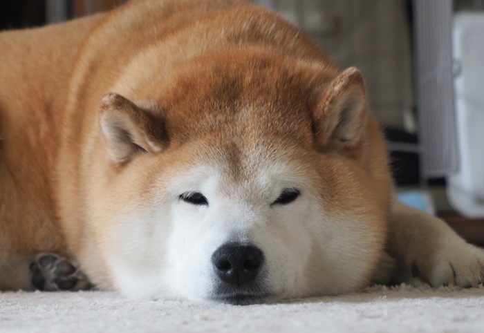 29日ブログ１