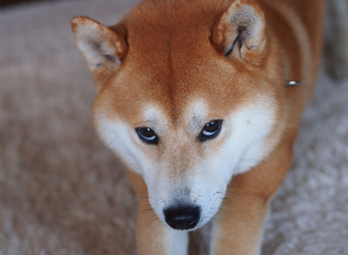 23日ブログ4.jpg