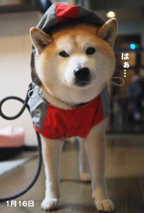 28日ブログ２