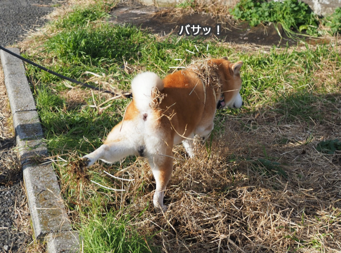 12日夜ブログ４
