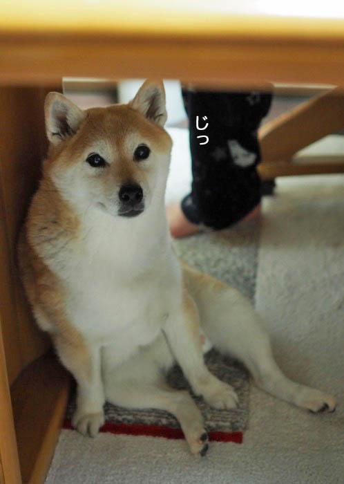 27日夜ブログ５