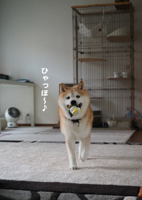 28日夕ブログ２