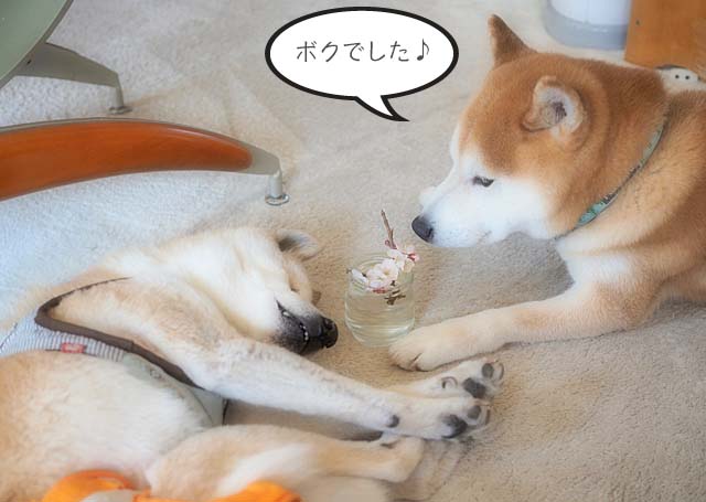 4日ブログ4