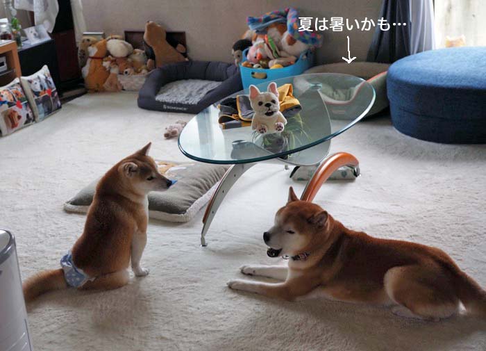 8日ブログ６