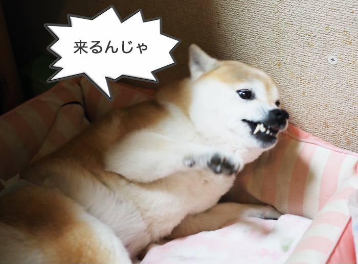 24日夜ブログ６