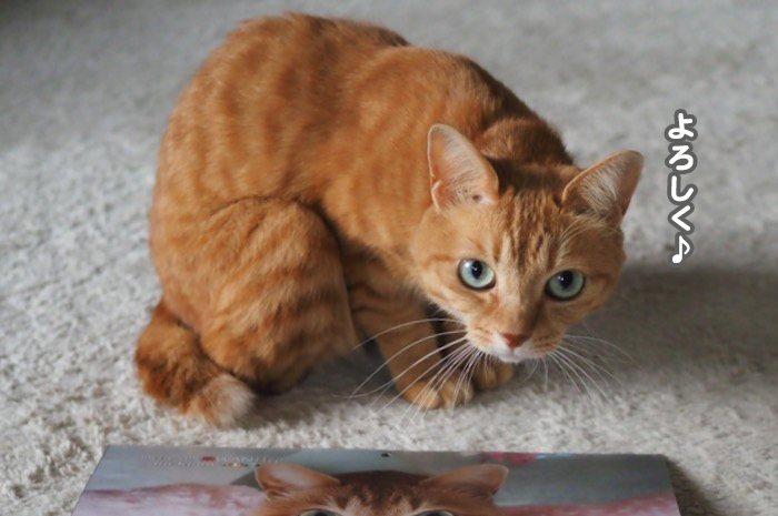 18日ブログ５