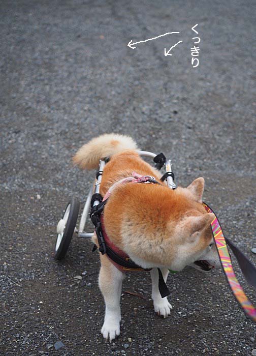 28日ブログ２