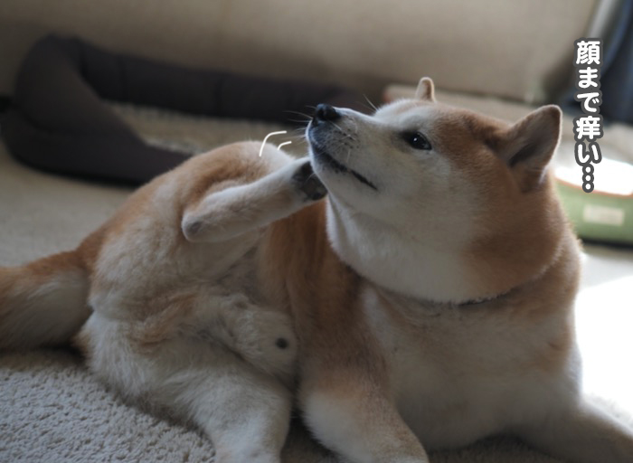 15日ブログ４