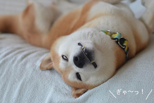 27日ブログ4