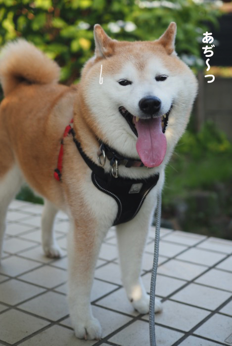 24日夕ブログ７