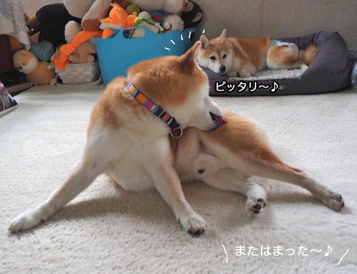 31日ブログ８