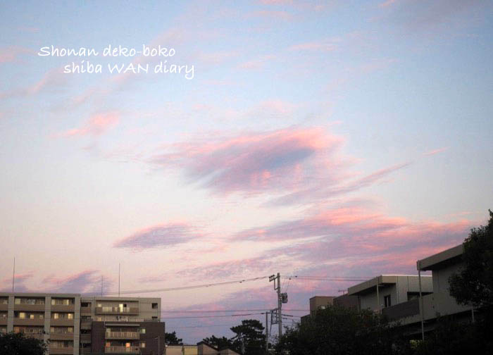 14日夕ブログ３