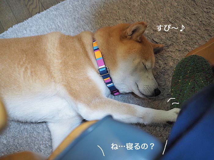 31日ブログ５