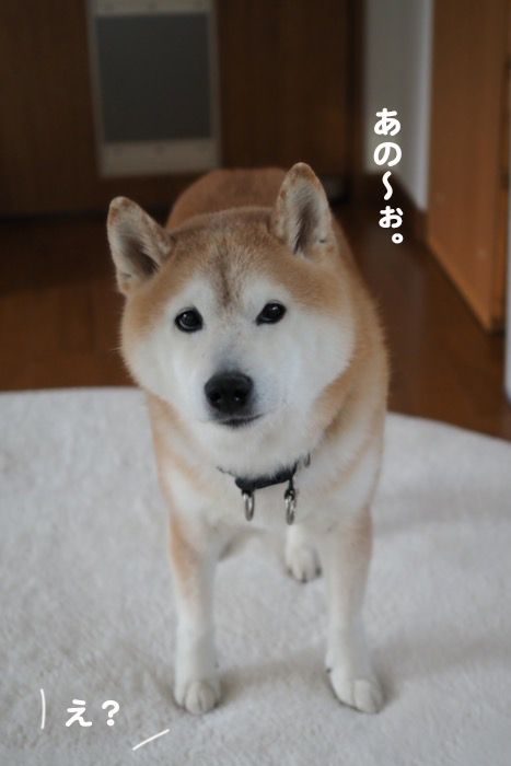 2日夕ブログ２