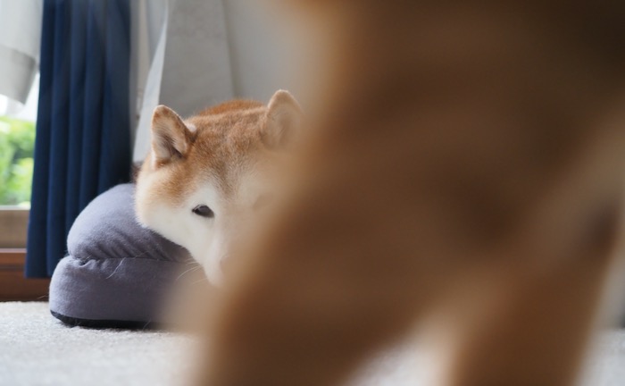 1日ブログ３