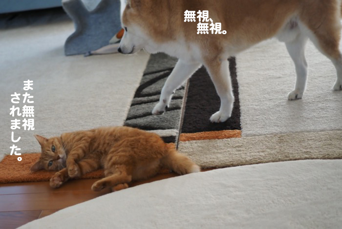 21日夕ブログ２
