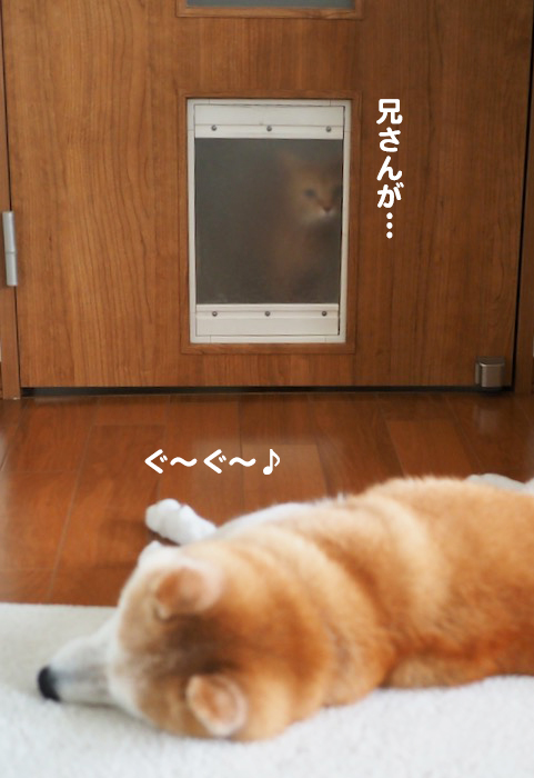 24日夕ブログ４