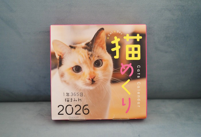 12日夕ブログ４