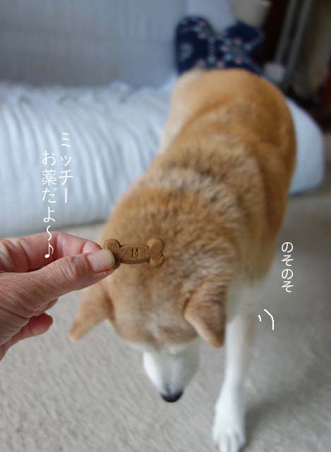 30日先ブログ3