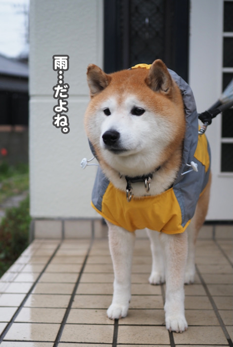 3日夜ブログ７