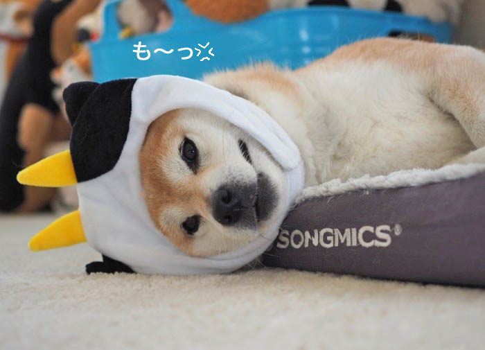 2日夜ブログ７