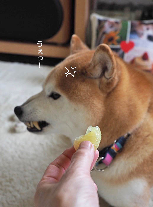 14日ブログ１１