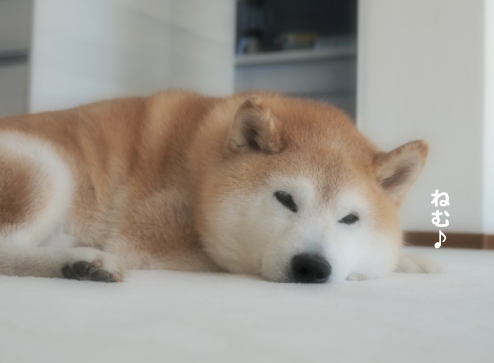 24日ブログ１