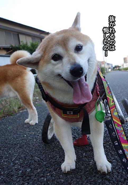 30日夜ブログ５
