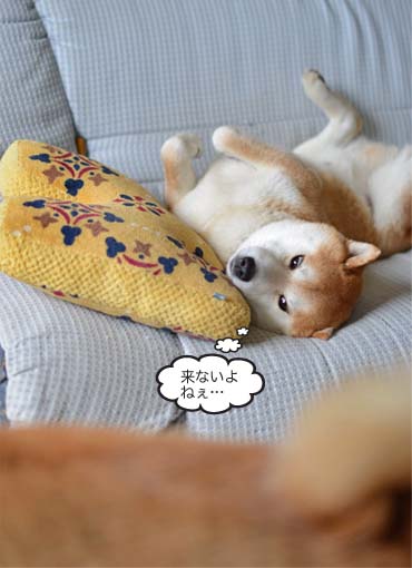 23日ブログ5.jpg