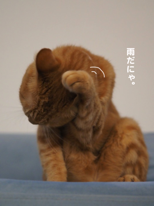 2日夕ブログ３