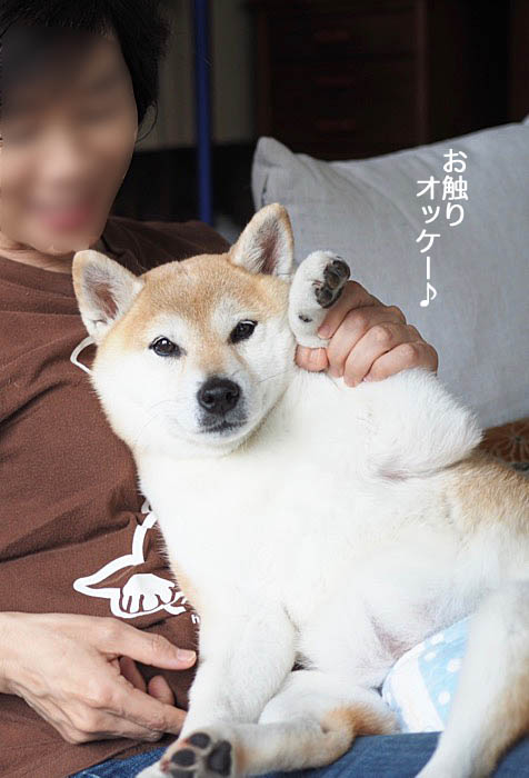 4日ブログ9