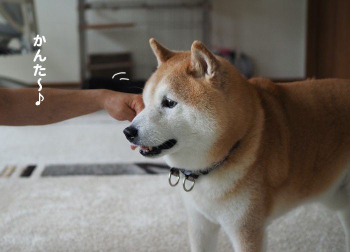 24日夕ブログ４