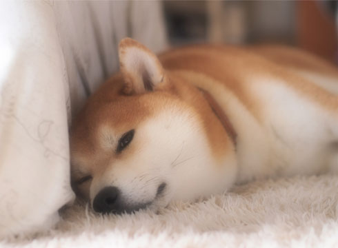 27日ブログ7.jpg