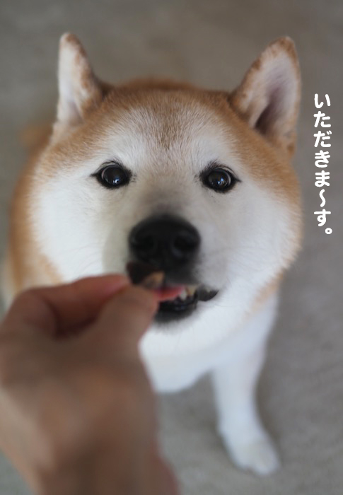 17日ブログ４
