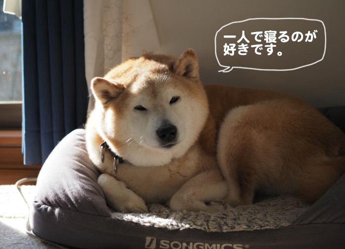 18日夕ブログ2