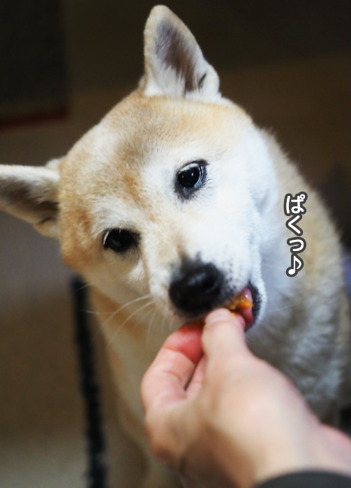 27日夜ブログ５