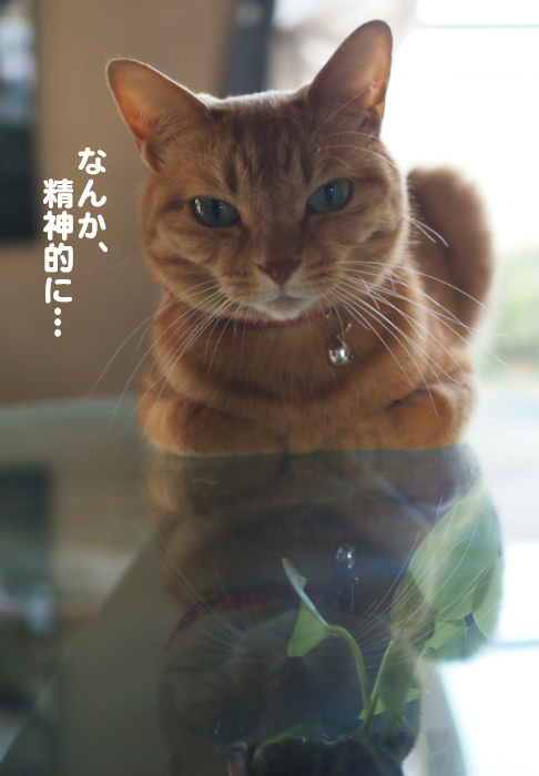 11日夕ブログ６