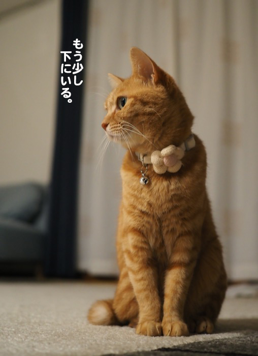 28日ブログ２