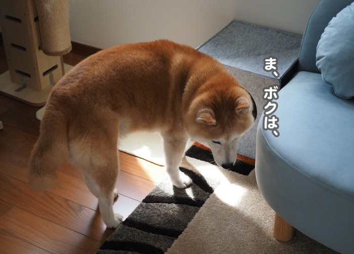 ３日夕ブログ６