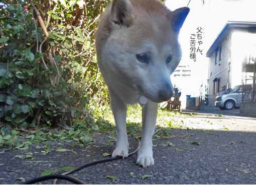 27日ブログ12.jpg