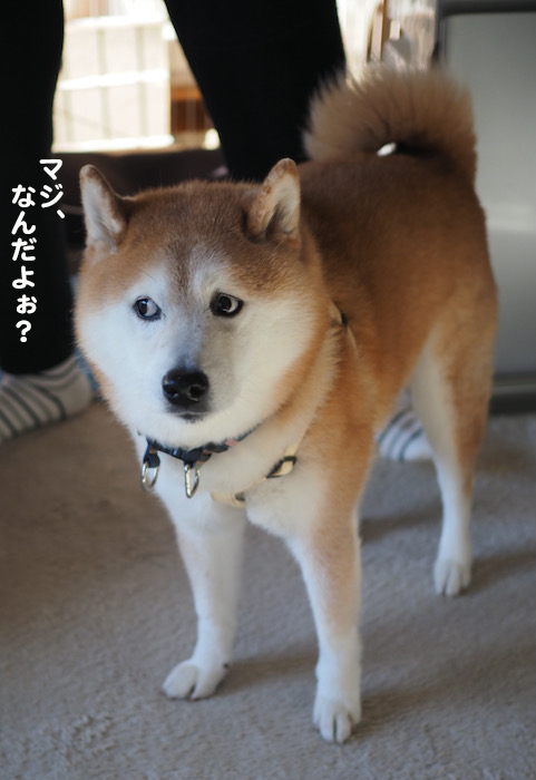 8日ブログ4