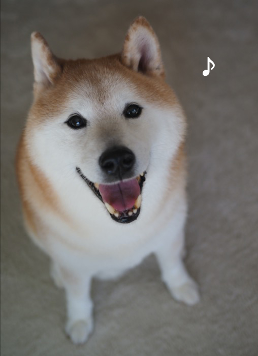 17日ブログ１
