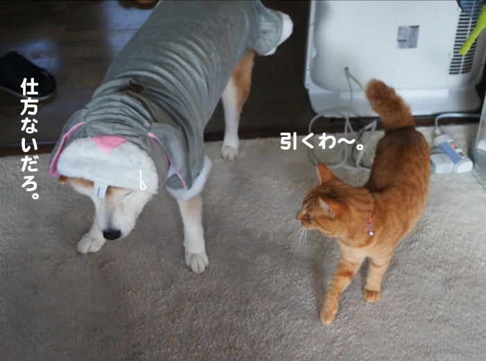 16日夕ブログ８