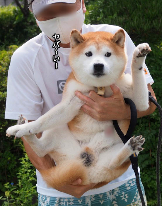 24日午後ブログ５