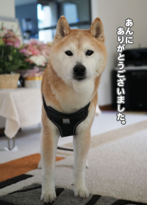 26日夕ブログ２